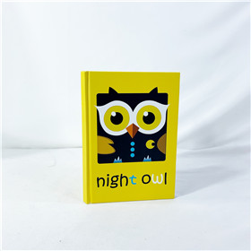 Cute Colorful Owl Notebooks Gusta-N048